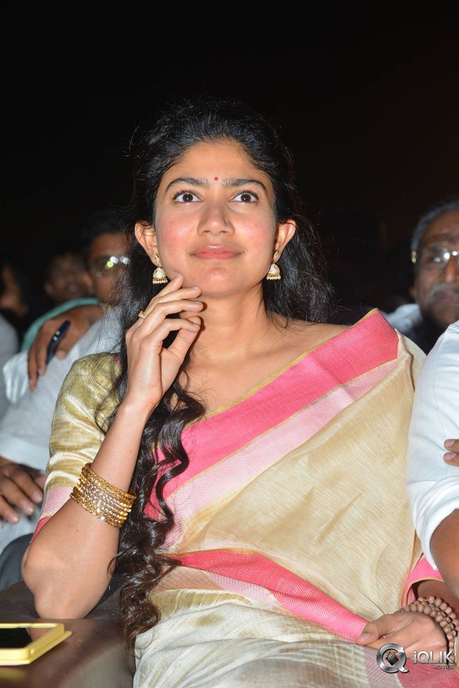 MCA-Movie-Pre-Release-Event-Photos